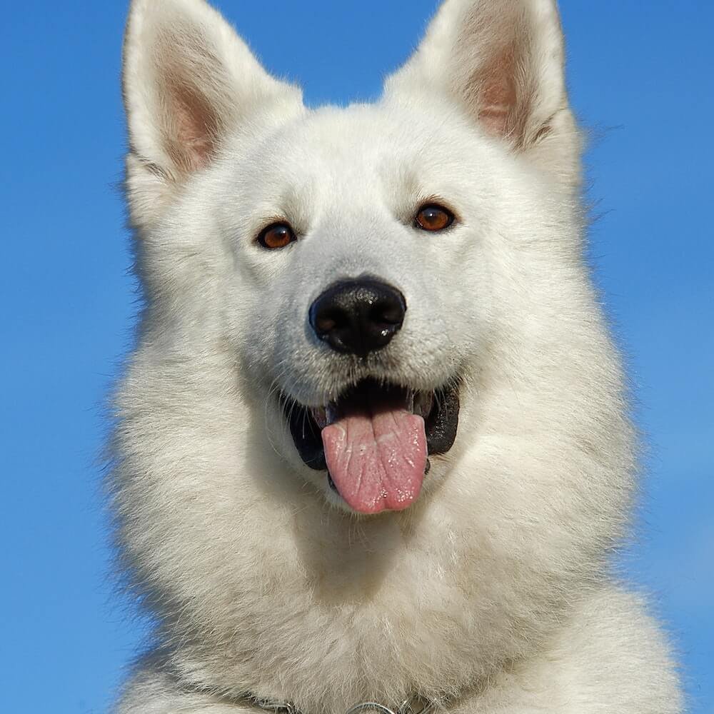 image-overlay-slide-1