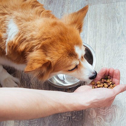 image-overlay-slide-2